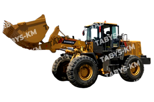 SHANMON ZL958SM